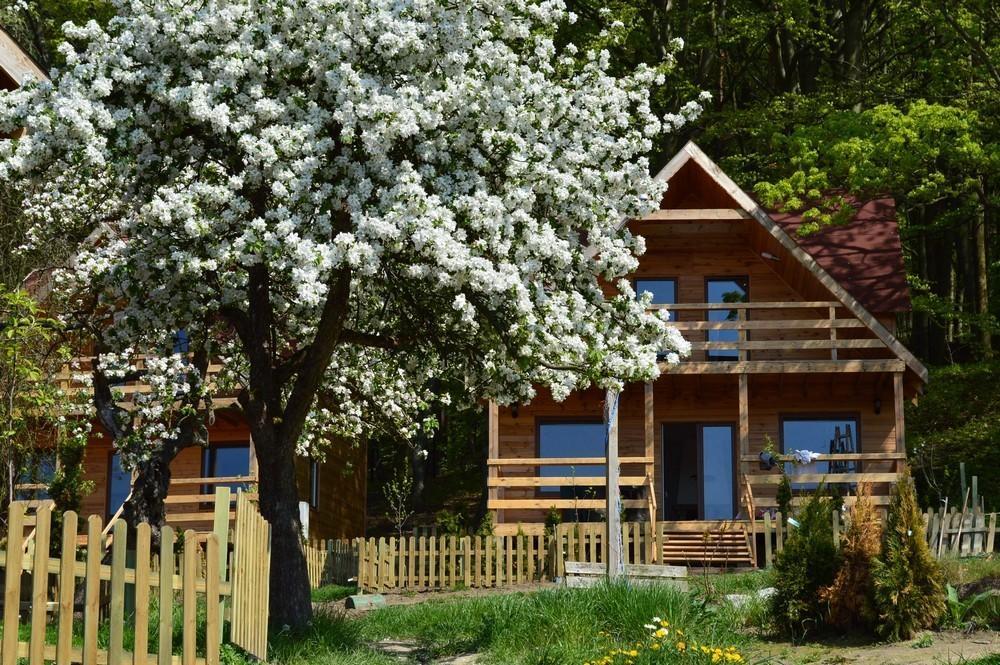Osrodek Wczasowy Zloty Dab - Domki Hotel Miedzyzdroje Exterior foto
