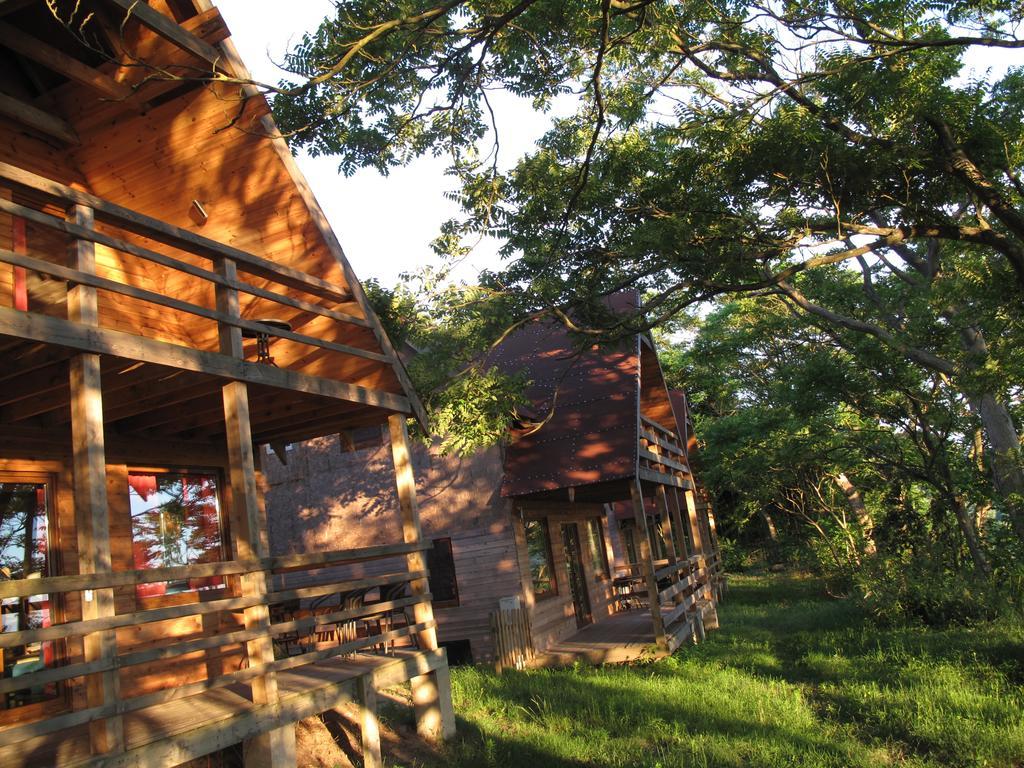 Osrodek Wczasowy Zloty Dab - Domki Hotel Miedzyzdroje Exterior foto